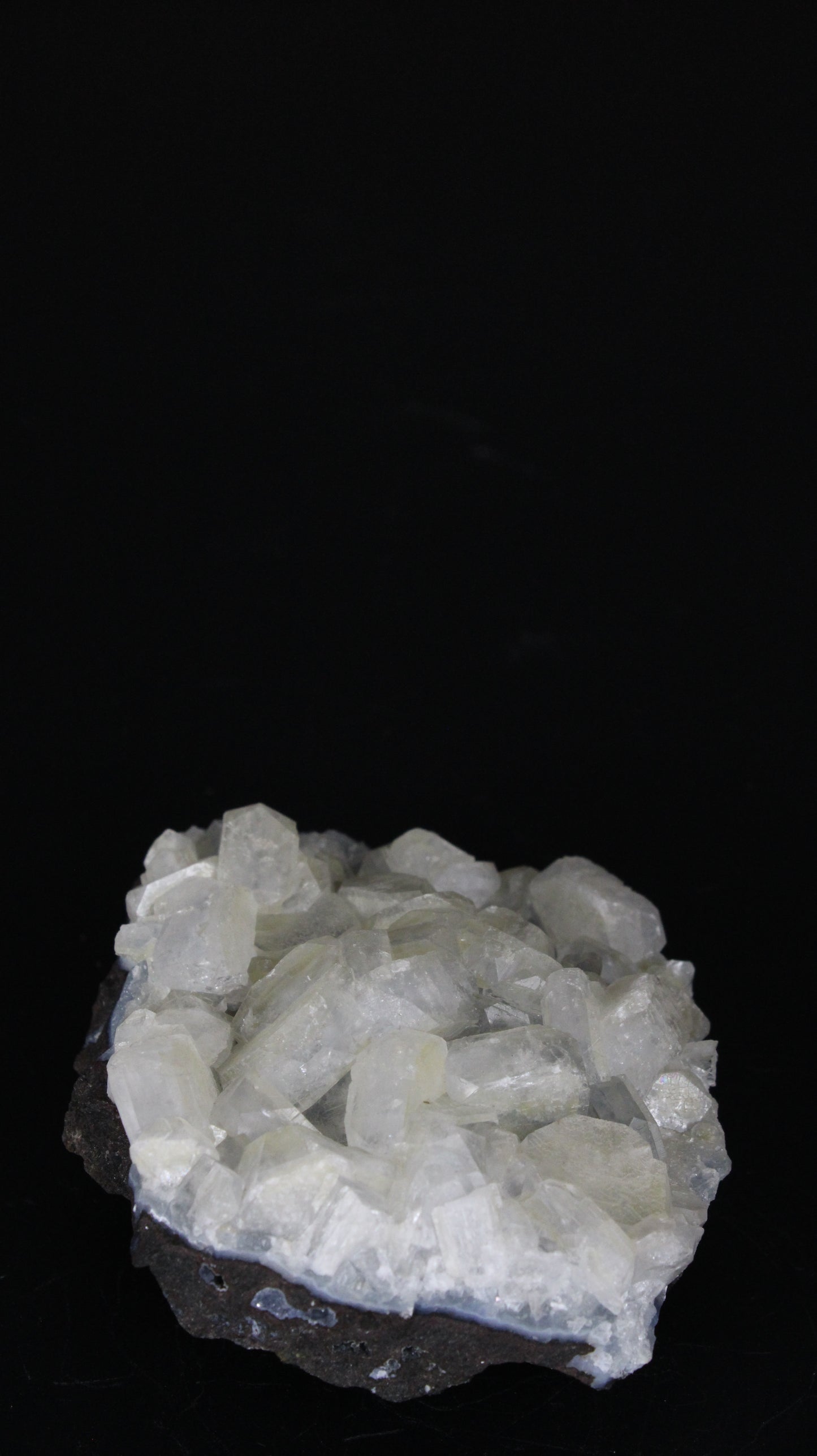 Apophyllite