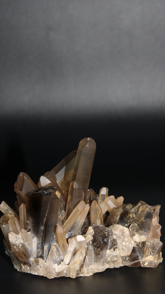 Natural Smoky Quartz Cluster – 320g (Brazil)