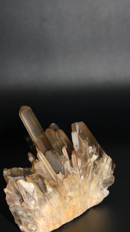 Natural Smoky Quartz Cluster – 320g (Brazil)